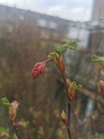 IMG_20240310_150724.jpg