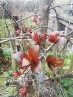 IMG_20240310_150747.webp