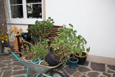 März    2624.JPG