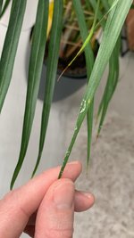 IMG_20240312_162830_848.jpg