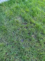 IMG_7129.webp