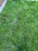 IMG_7130.webp