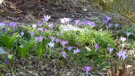 P1430405.webp