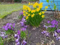 IMG_20240307_155323.webp