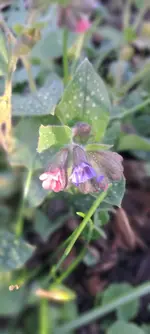20240314_163532.jpg