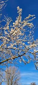 20240314_163358.jpg