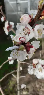 20240314_105900.webp