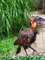 IMG_20210816_123812.webp