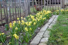 DSCN5402.webp