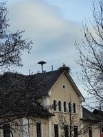 20240315_082515.jpg
