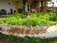 DSC03312.webp
