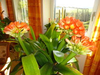 DSC03306.JPG