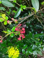 IMG_20240315_100108.jpg