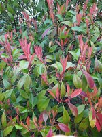 IMG_20240315_100151.jpg