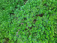 IMG_20240315_100605.jpg