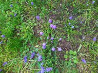 IMG_20240315_100632.jpg