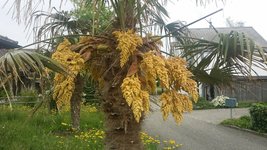 20180514_154433.jpg