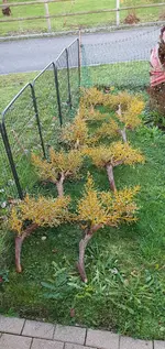 20231123_162748.webp