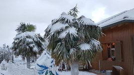 20240119_081452.jpg