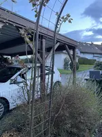 IMG_2193.webp IMG_2193.webp