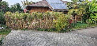 20231029_145509.jpg