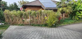 20231029_145509.webp