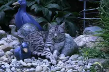 Juli2811.webp