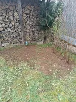 IMG-20240317-WA0014.webp