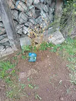 IMG-20240317-WA0017.webp