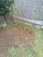 IMG-20240317-WA0016.webp