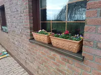 IMG-20240316-WA0022.webp