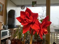 IMG_1431.jpeg