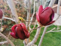 IMG_20240317_172214.jpg