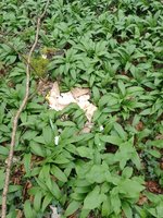 IMG_20240318_113001.jpg
