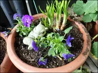 c036.webp