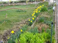 DSC03314.webp