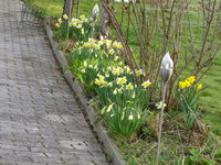 DSC03315.JPG