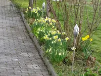 DSC03315.webp