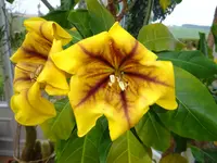 DSC03316.webp
