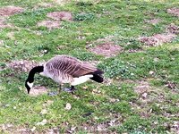 IMG_20200326_153936_1.jpg