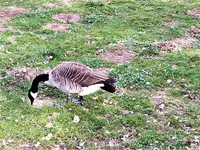 IMG_20200326_153936_1.webp