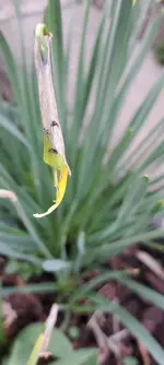 20240319_163603.webp