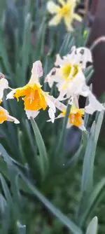 20240319_163452.webp