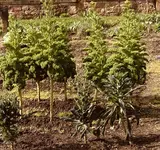 IMG_0724.jpeg