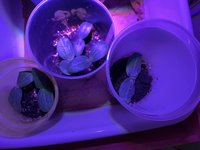 IMG_3510.jpeg