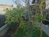 IMG_20230908_074818.webp