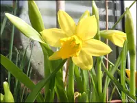 c042.webp