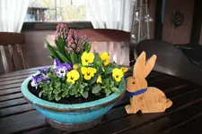 Frühling       0124.webp