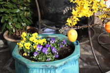 Frühling       0424.JPG