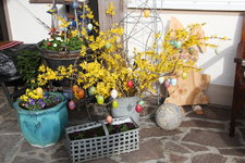 Frühling       0524.JPG